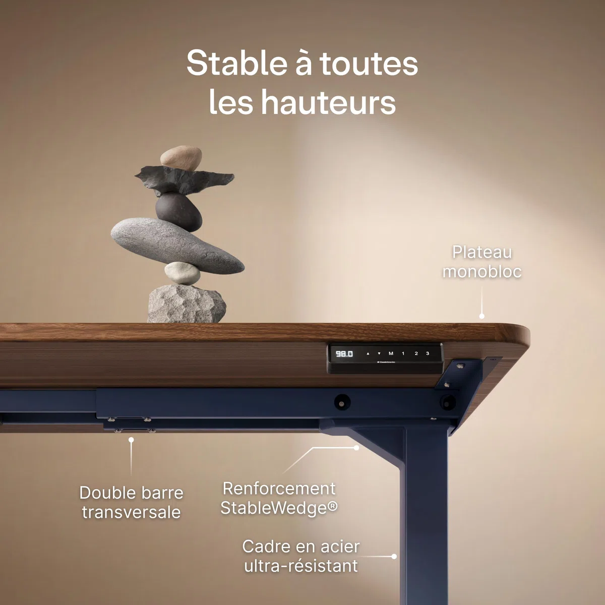 Desktronic Bureau Assis-Debout Électrique – Plateau de Table en Bois Massif – Hauteur Réglable et Stabilisée – Commande Tactile avec Mémoires – Ports USB Intégrés – Tableau Assis-Debout 180x80cm